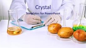  Presentation with laboratory - Amazing PPT layouts having organisme genetiquement modifie - scientist examines potatoes in laboratory backdrop and a sky blue colored foreground