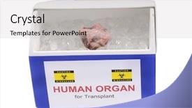  Presentation with transplant - PPT layouts featuring organs - heart for transplant background and a light gray colored foreground