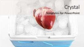  Presentation with electrical organ - Slide deck with organs - heart organ in fridge close background and a light gray colored foreground