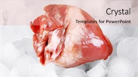  Presentation with diabetes and heart - Cool new PPT theme with organs - heart organ with ice close backdrop and a coral colored foreground