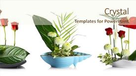  Presentation with floral - Audience pleasing presentation design consisting of oriental craft - creative floral compositions on white backdrop and a cream colored foreground
