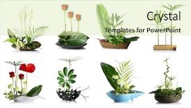  Presentation with floral border over white - Amazing presentation theme having oriental craft - creative floral compositions on white backdrop and a soft green colored foreground