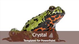  Presentation with fire - Slides enhanced with oriental fire-bellied toad bombina background and a tawny brown colored foreground
