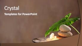  Presentation with life - PPT theme with ground after wood background reforestation background and a soft green colored foreground