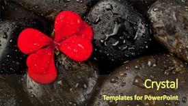  Presentation with oriental medicine - PPT layouts enhanced with oriental medicine - zen stones and fresh plant background and a tawny brown colored foreground