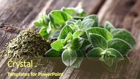  Presentation with oregano - Beautiful presentation theme featuring origan - oregano spices backdrop and a tawny brown colored foreground
