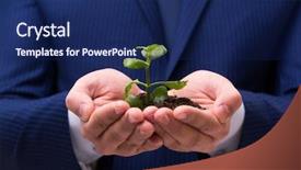  Presentation with green life - PPT layouts featuring origin life - businessman holding green sprouts isolated background and a navy blue colored foreground