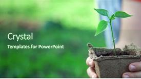  Presentation with children hands - Slides featuring origin life - green sprout and children hands background and a ocean colored foreground