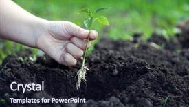  Presentation with children hands - Theme consisting of origin life - green sprout and children hands background and a wine colored foreground