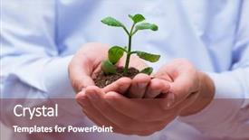  Presentation with white green - Audience pleasing slide deck consisting of origin life - man holding green seedling isolated backdrop and a tawny brown colored foreground