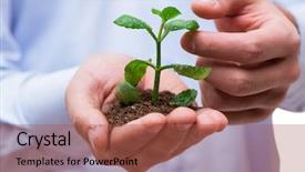 Presentation with white green - Amazing theme having origin life - man holding green seedling isolated backdrop and a  colored foreground