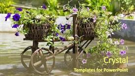  Presentation with paradise - Slide deck featuring original flower bed at paradise park samui thailand background and a tawny brown colored foreground