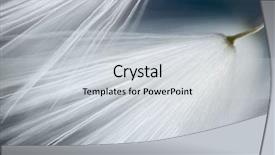  Presentation with dandelion - Presentation design with original soft macro of dandelion background and a light gray colored foreground