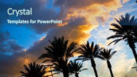  Presentation with palm - Amazing PPT layouts having orlando - beautiful sunset sky with palm backdrop and a ocean colored foreground