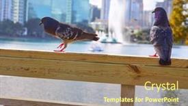  Presentation with doves - Beautiful presentation featuring orlando skyline fom lake eola with doves in florida usa backdrop and a tawny brown colored foreground