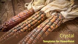  Presentation with wood harvest - Presentation design having ornamental-corn-ears-close-up background and a tawny brown colored foreground