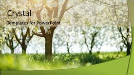  Presentation with earth day - PPT theme featuring ornamental garden with blooming lush background and a soft green colored foreground