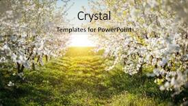  Presentation with earth day - Audience pleasing PPT theme consisting of ornamental garden with blooming lush backdrop and a soft green colored foreground