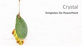  Presentation with green house - Theme featuring ornamental-green-desert-cactus background and a white colored foreground