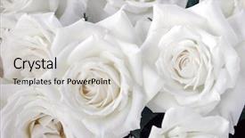  Presentation with pink and white roses country - PPT theme having  background and a  colored foreground