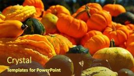  Presentation with fall - Slide deck consisting of ornamental pumpkins on farmers market in the fall background and a tawny brown colored foreground