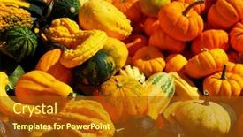  Presentation with fall - Theme with ornamental pumpkins on farmers market in the fall background and a tawny brown colored foreground