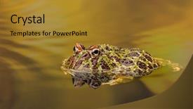  Presentation with golden openwork - PPT theme with ornate horned frog or pacman background and a gold colored foreground