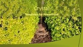  Presentation with home garden - Slide deck featuring ornate-metal-bird-bath-outside background and a tawny brown colored foreground