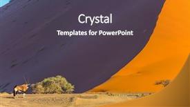  Presentation with light shade nluie - Amazing PPT layouts having oryx gazelle of saber-bug backdrop and a dark gray colored foreground