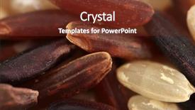  Presentation with brown rice - PPT theme having oryza - rice mixed white brown background and a tawny brown colored foreground