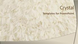 Presentation with rice - PPT theme having oryza - uncooked rice background and a  colored foreground