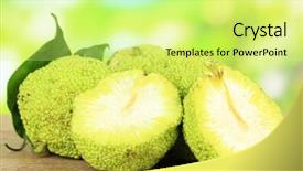  Presentation with orange - Colorful slide deck enhanced with osage-orange-fruits-maclura-pomifera backdrop and a yellow colored foreground