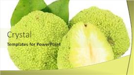  Presentation with orange - Colorful presentation theme enhanced with osage-orange-fruits-maclura-pomifera backdrop and a yellow colored foreground