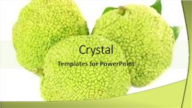  Presentation with orange - Slide deck enhanced with osage-orange-fruits-maclura-pomifera background and a yellow colored foreground