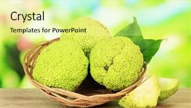  Presentation with fruits - Audience pleasing slide set consisting of osage-orange-fruits-maclura-pomifera backdrop and a blonde colored foreground