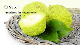  Presentation with orange - Beautiful PPT layouts featuring osage-orange-fruits-maclura-pomifera backdrop and a blonde colored foreground