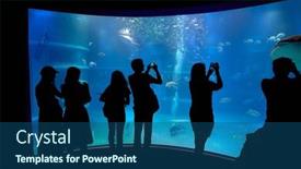  Presentation with sharks - Slide set consisting of osaka-japan-circa-2018 background and a ocean colored foreground