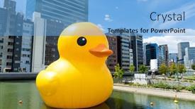  Presentation with rubber duck - 