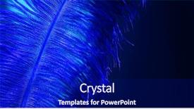  Presentation with feather - Amazing PPT theme having ostrich blue feather on black backdrop and a navy blue colored foreground