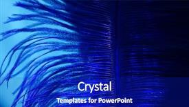 Presentation with blue black and silver - Theme having ostrich blue feather on black background and a royal blue colored foreground