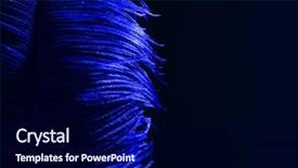  Presentation with blue black and silver - PPT theme with ostrich blue feather on black background and a navy blue colored foreground