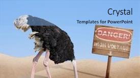  Presentation with high voltage - Cool new presentation theme with ostrich burying head in sand backdrop and a light blue colored foreground