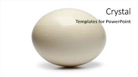  Presentation with egg - PPT theme with ostrich egg on white background background and a white colored foreground