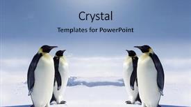  Presentation with pole - Presentation featuring other at the south pole background and a light blue colored foreground