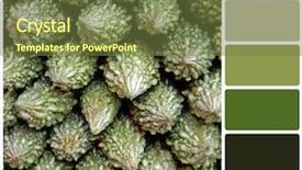  Presentation with bitter - Amazing PPT layouts having otherwise known as bitter gourd backdrop and a tawny brown colored foreground
