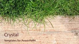  Presentation with wood log - Presentation theme consisting of outdoor background series wood background and a lemonade colored foreground