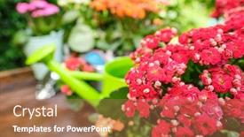  Presentation with wood tools - Cool new slide deck with outdoor-gardening-plants-and-tools backdrop and a coral colored foreground