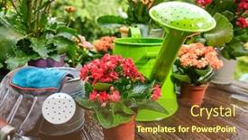  Presentation with wood tools - PPT theme enhanced with outdoor-gardening-plants-and-tools background and a tawny brown colored foreground