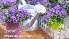  Presentation with wood tools - Presentation design consisting of outdoor-gardening-plants-and-tools background and a coral colored foreground