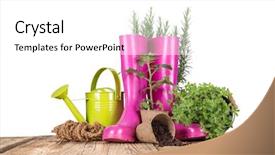  Presentation with herbs - Presentation with outdoor gardening tools and herbs background and a white colored foreground